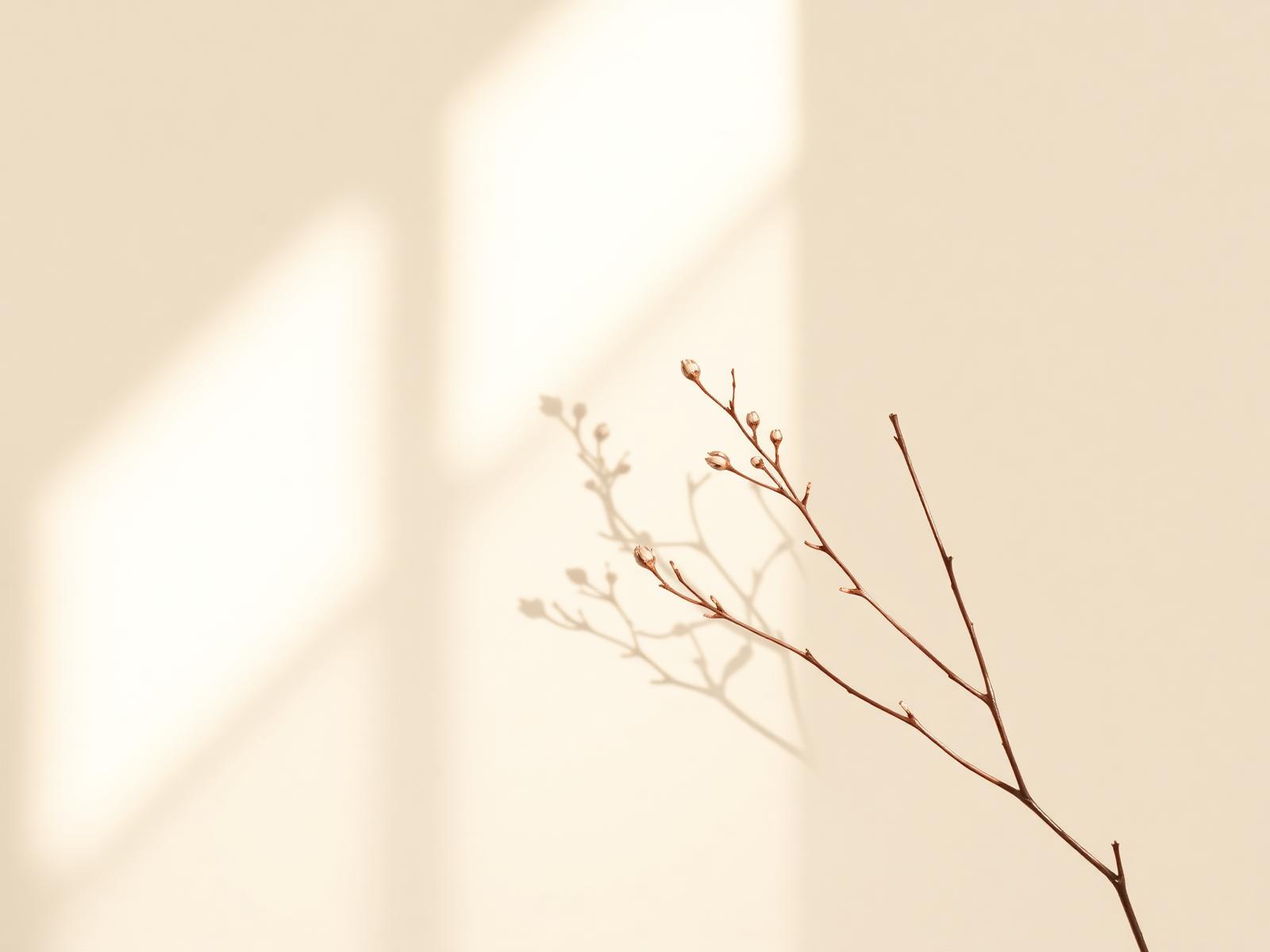 A calm moment in a healthier hair journey